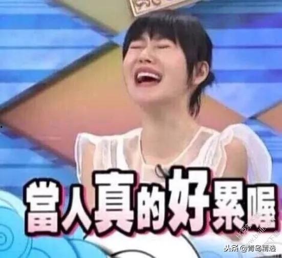 吃瓜娱乐圈蛋团